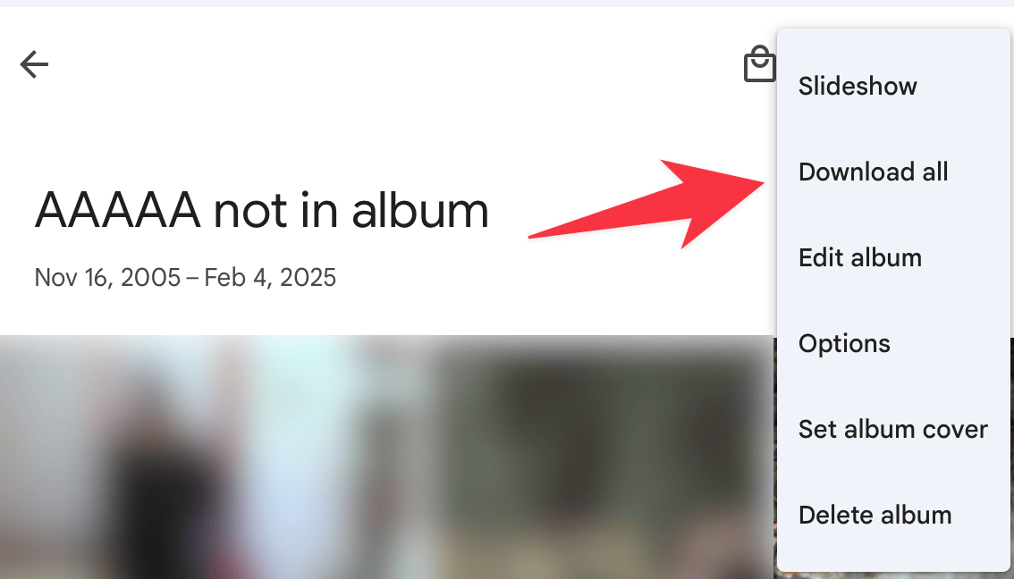 Download Album Google Photos